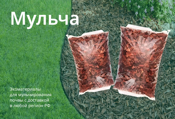 Суперакция на мульчу