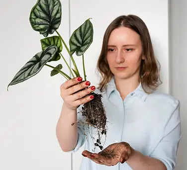 Какая лампа нужна для рассады: виды и критерии выбора 2